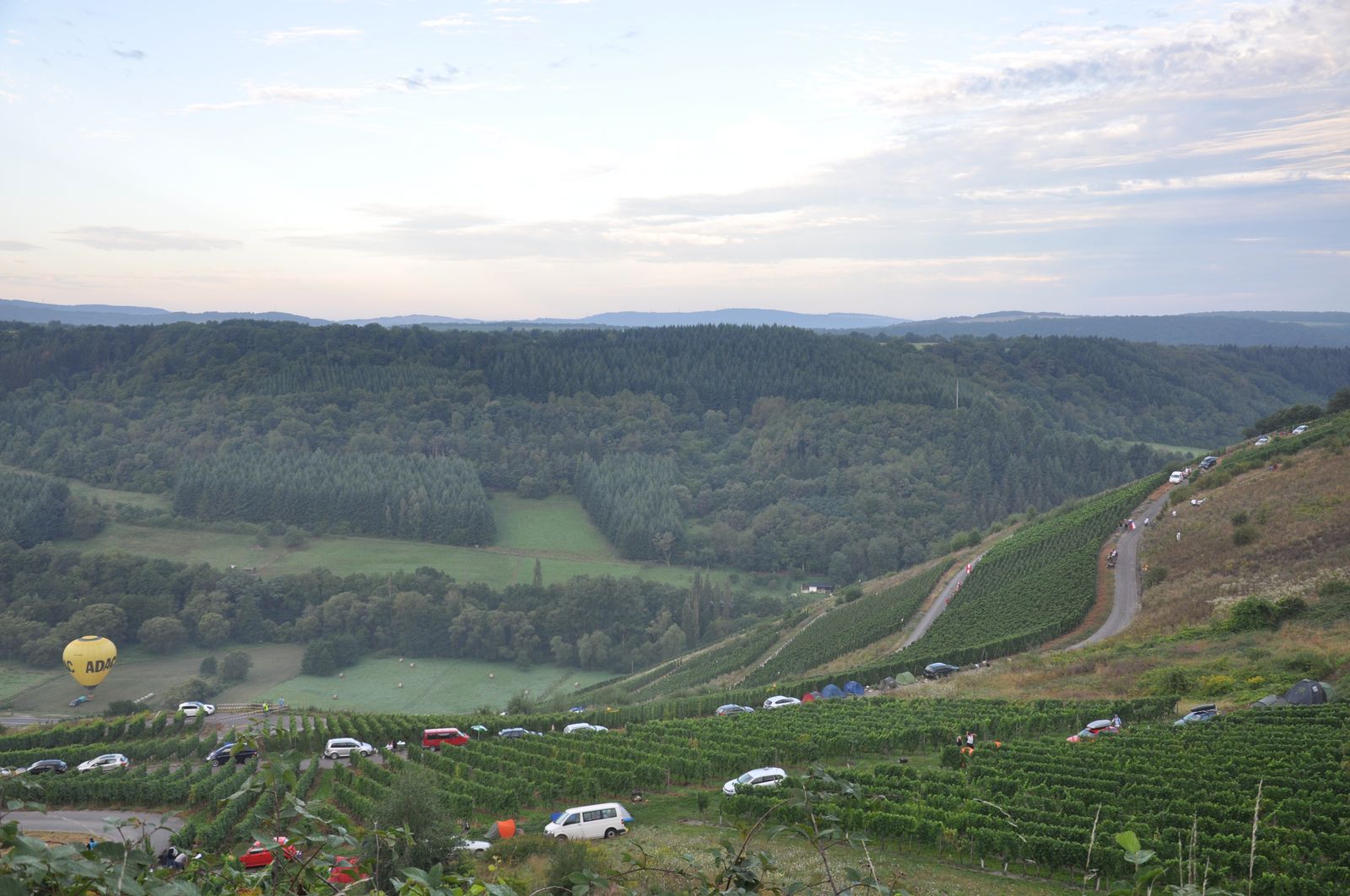 WRC-D 22-08-2010 003.jpg